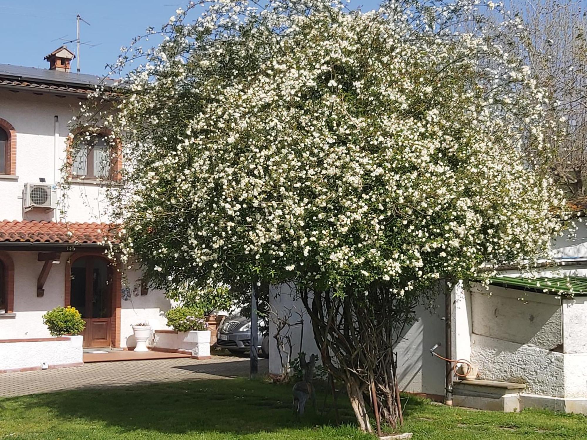 Villa Fioccomare Camaiore Ngoại thất bức ảnh