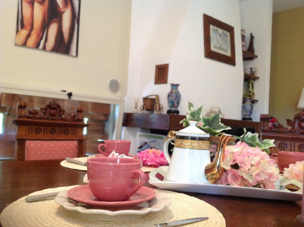 Villa Fioccomare Camaiore Ngoại thất bức ảnh